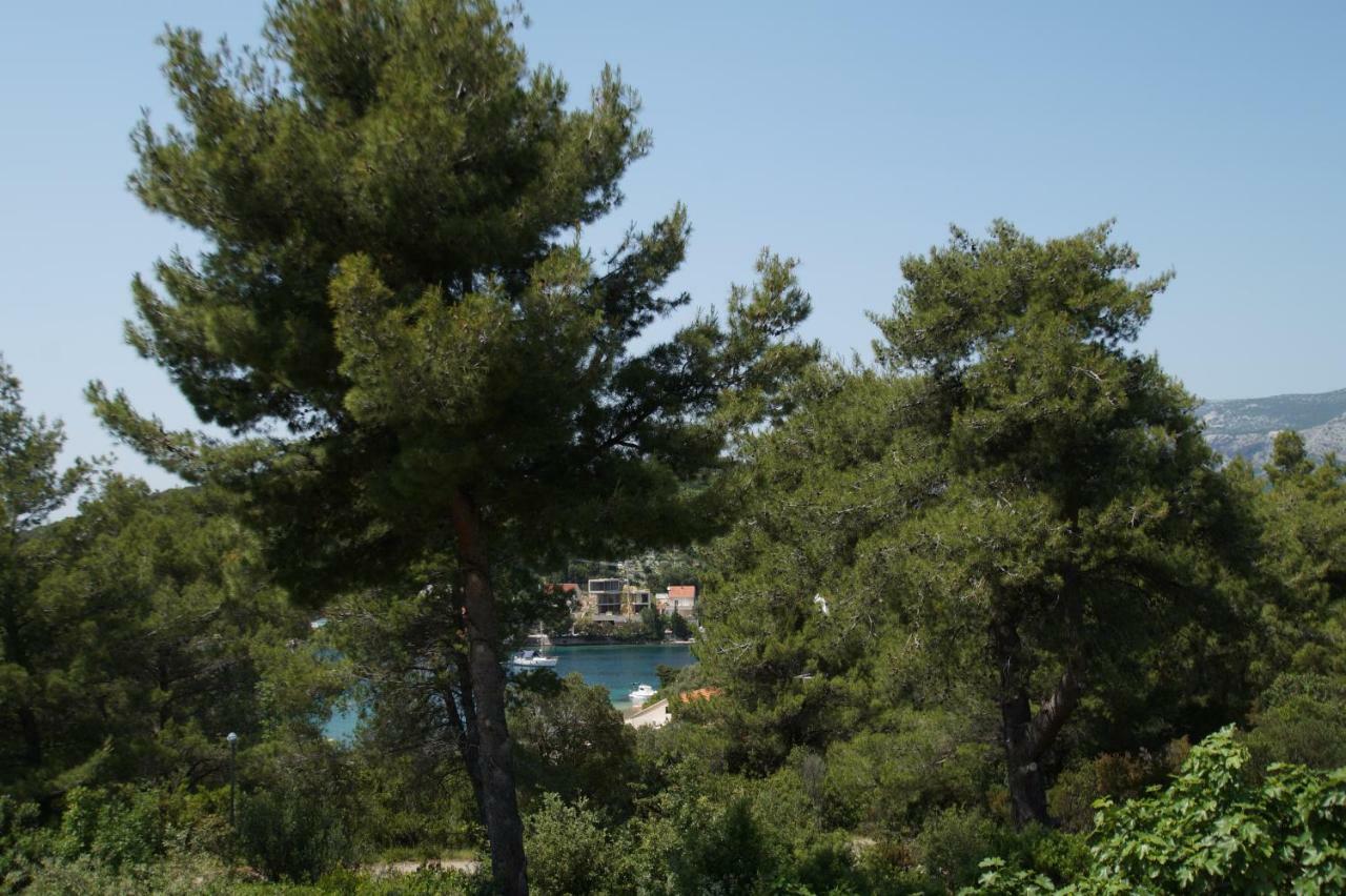 Vita Apartments Zrnovo Εξωτερικό φωτογραφία