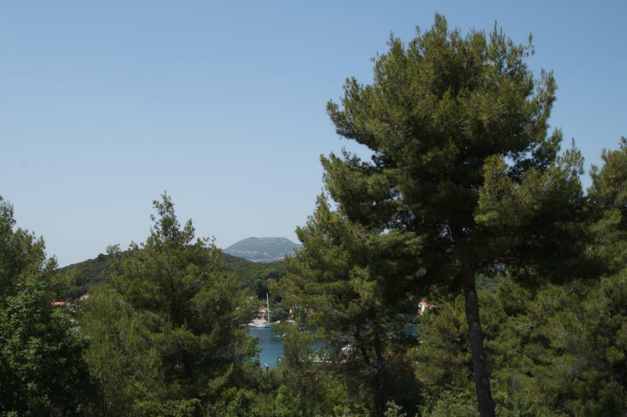 Vita Apartments Zrnovo Εξωτερικό φωτογραφία